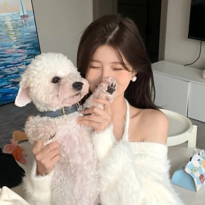 杜鹃的婚约 封面