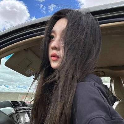 女仆日记 封面